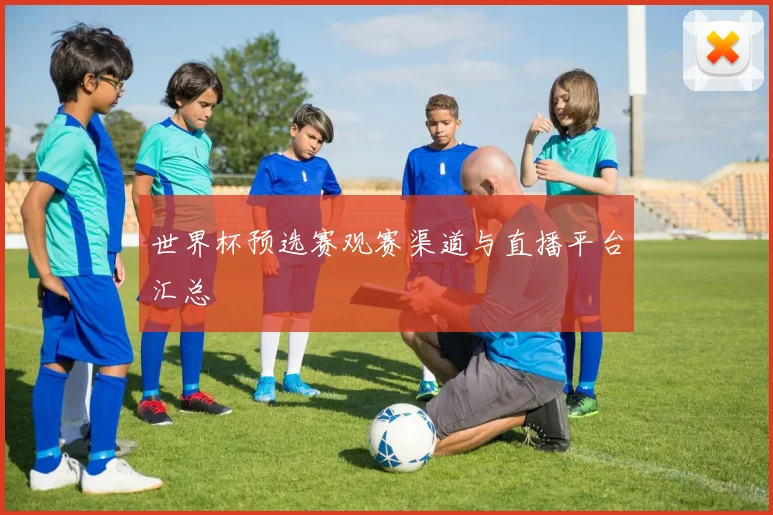 世界杯预选赛观赛渠道与直播平台汇总