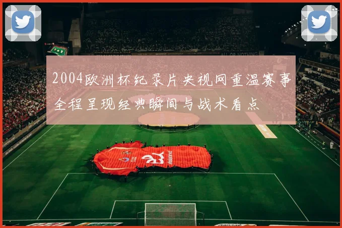 2004欧洲杯纪录片央视网重温赛事全程呈现经典瞬间与战术看点