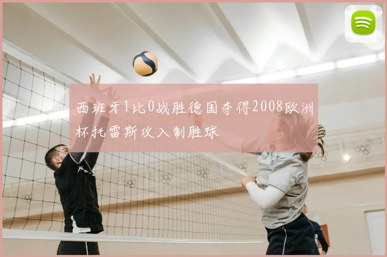 西班牙1比0战胜德国夺得2008欧洲杯托雷斯攻入制胜球