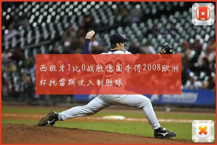 西班牙1比0战胜德国夺得2008欧洲杯托雷斯攻入制胜球