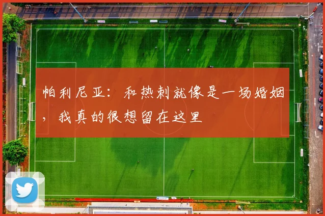 帕利尼亚:和热刺就像是一场婚姻,我真的很想留在这里