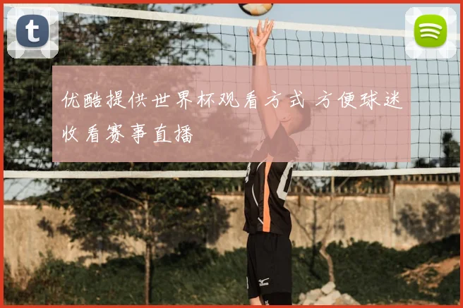 优酷提供世界杯观看方式 方便球迷收看赛事直播