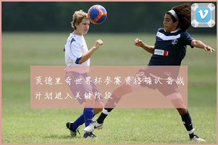 莫德里奇世界杯参赛资格确认 备战计划进入关键阶段