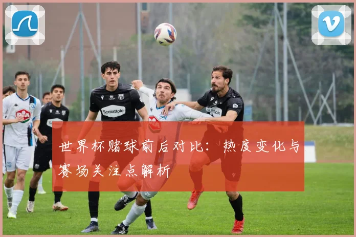 世界杯赌球前后对比：热度变化与赛场关注点解析