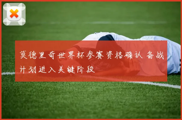 莫德里奇世界杯参赛资格确认 备战计划进入关键阶段