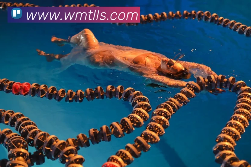 开云官方手机登录品牌故事