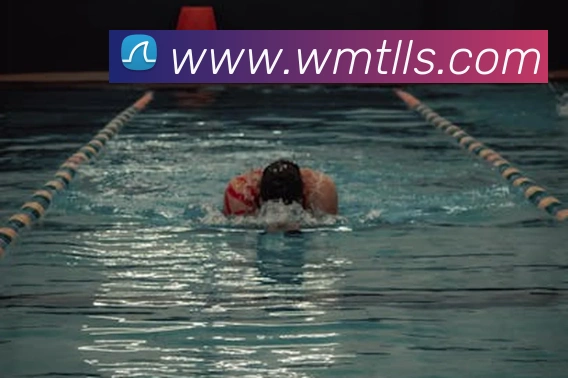 开云官方手机登录服务体系